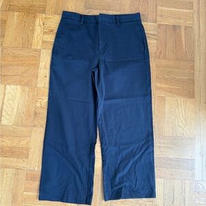 Everlane Wide Leg Performance Chino